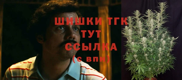 индика Магадан