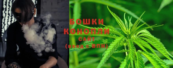 индика Майский
