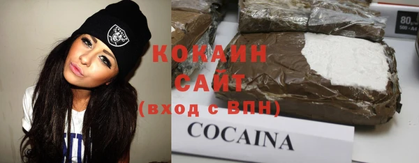 индика Майский