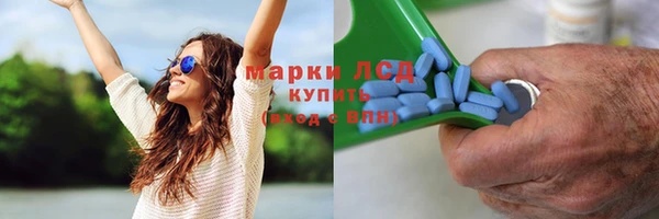индика Магадан