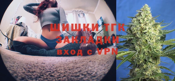 индика Майский