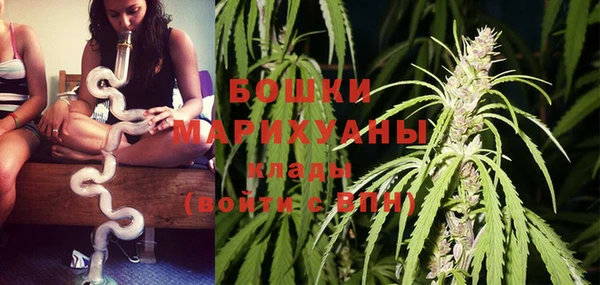 индика Майский