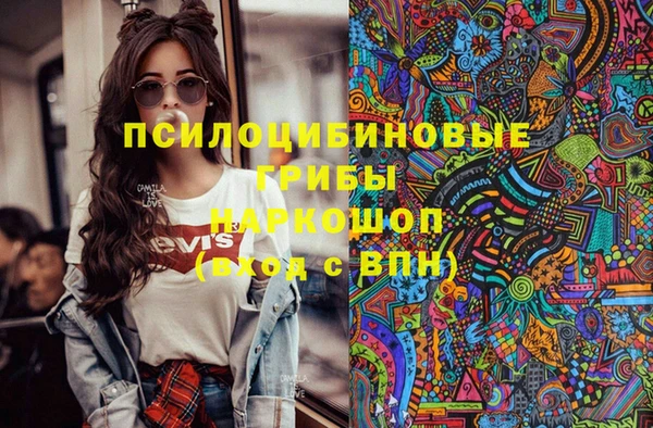 индика Магадан
