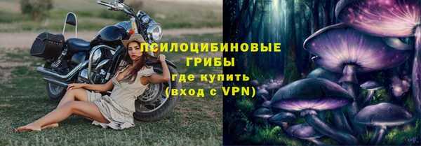 индика Магадан