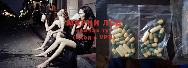 индика Майский