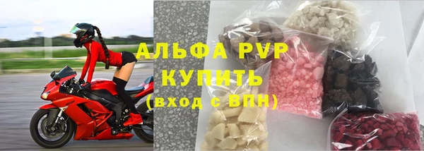 индика Майский