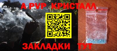 спиды Камышлов