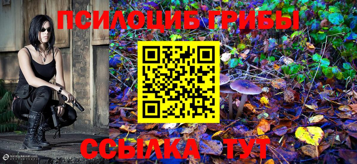 Псилоцибиновые грибы Magic Shrooms  Вход с VPN  Мелеуз 